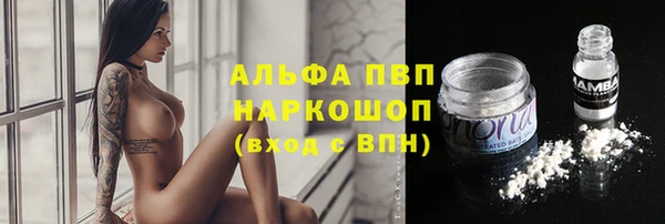 каннабис Корсаков